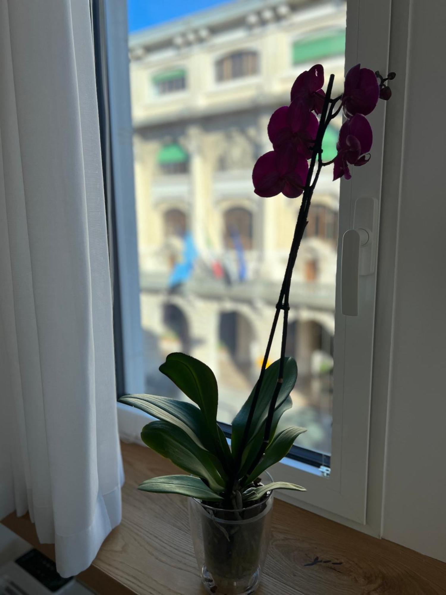 Apartmán Conte Cavour Udine Exteriér fotografie